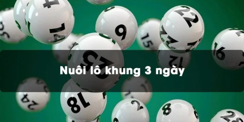 Khái niệm về nuôi lô khung 3 ngày cụ thể nhất